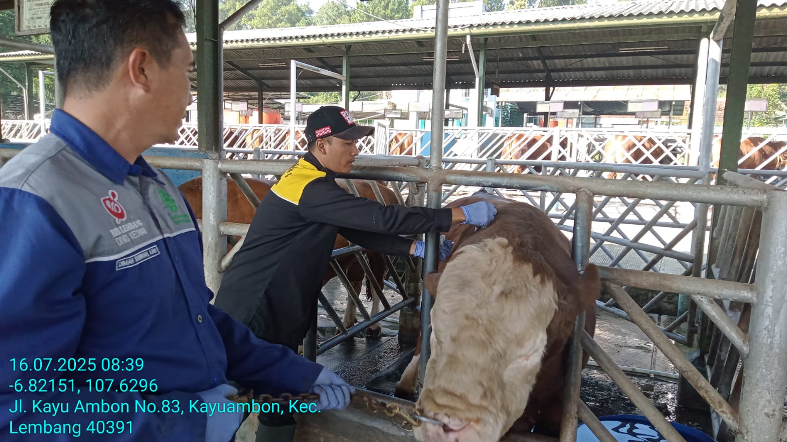 BIB Lembang News 1